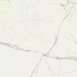 Фото плитки RAGNO MAIORA MARBLE EFFECT STATUARIO RET NAT MATT R6Se 120X120 из коллекции RAGNO MAIORA 