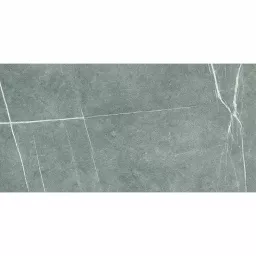 Фото плитки COLORKER NOMADE ARGENT 221883 59,5x119,2 из коллекции COLORKER NOMADE 