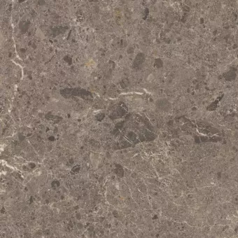 GRESPANIA ARTIC MOKA PULIDO 59x59