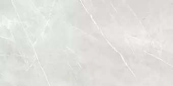 ENERGIEKER PIETRAGREY WHITE NATURAL 60X120X9