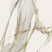 COVERLAM MACCHIA VECCHIA NAT. 120X120