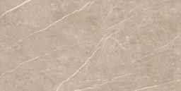 Фото плитки TAU CERAMICA ELITE GREIGE PUL 90x180x0,9 из коллекции TAU CERAMICA ELITE 