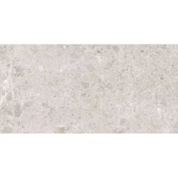 Фото плитки GRESPANIA ARTIC BLANCO PULIDO 78x158 из коллекции GRESPANIA ARTIC 