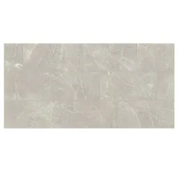 Фото плитки CERIM EXALT OF CERIM SILVER LIGHT NAT 120X240X1 из коллекции CERIM EXALT OF CERIM 