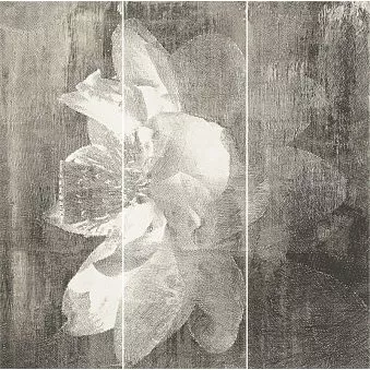 PARADYZ MANTEIA GRAFIT PANEL A ПАННО 20x60 x3