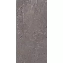 Фото плитки PRISSMACER OLYMPIA MARENGO 60X120 из коллекции PRISSMACER OLYMPIA 