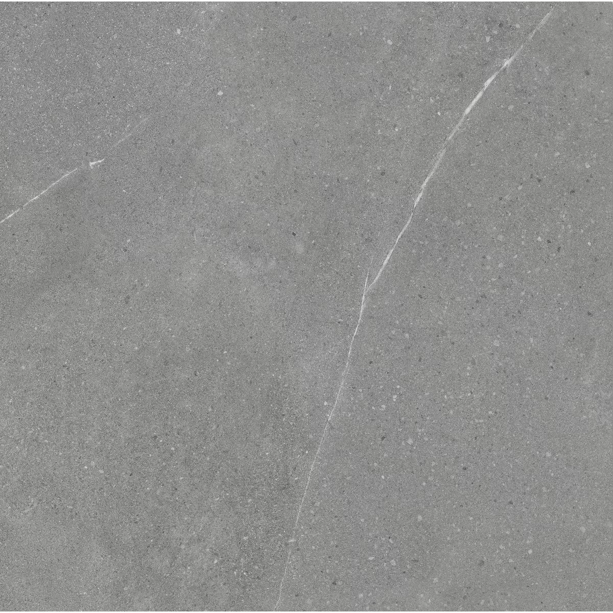 Фото плитки COLORKER MADISON ARGENT 59.5x59.5 из коллекции COLORKER MADISON 