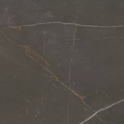 Фото плитки PARADYZ LINEARSTONE BROWN GRES SZKL. REKT. MAT. 59.8x59.8 из коллекции PARADYZ LINEARSTONE 