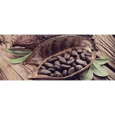 Фото плитки CERAMIKA KONSKIE FELICIA 2 20x50 ДЕКОР из коллекции CERAMIKA KONSKIE FELICIA 