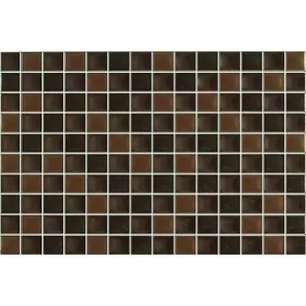 ARGENTA ELEMENT MARRON 20x30