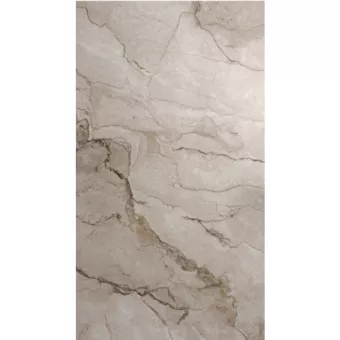 KUTAHYA ADEL MINK RT POLISH N 60X120