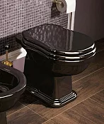 НАПОЛЬНЫЙ УНИТАЗ FLAMINIA EFI, BLACK (6010)