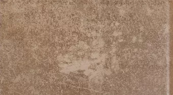 PARADYZ SCANDIANO ROSSO 13,5X24,5