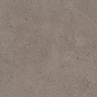 PARADYZ INDUSTRIALDUST TAUPE RECT 59,8X59,8X0,9