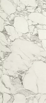 SERENISSIMA MAGISTRA PAONAZZETTO LUX RET 80X180