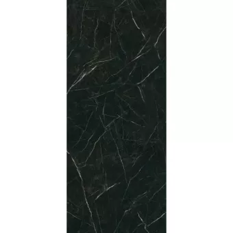 PARADYZ DESIRE BLACK GRES SZKL. REKT. POLER 120X280