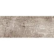 GEOTILES JUNGLE BEIGE 20x60