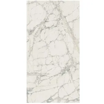 REX PREXIOUS MOUNTAIN TREASURE 755844 60X120X1