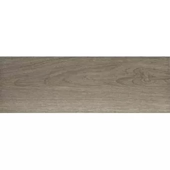 PAMESA CERAMICA FRONDA MUSGO 20x60
