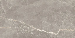 Фото плитки ARGENTA LIVIA MOKA SILK 60X120X0.9 из коллекции ARGENTA LIVIA 