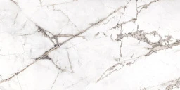 Фото плитки SANTAGOSTINO CERAMICA PURE MARBLE SPIDER WHITE KRY CSASPWHK18 90X180 из коллекции SANTAGOSTINO PURE MARBLE 