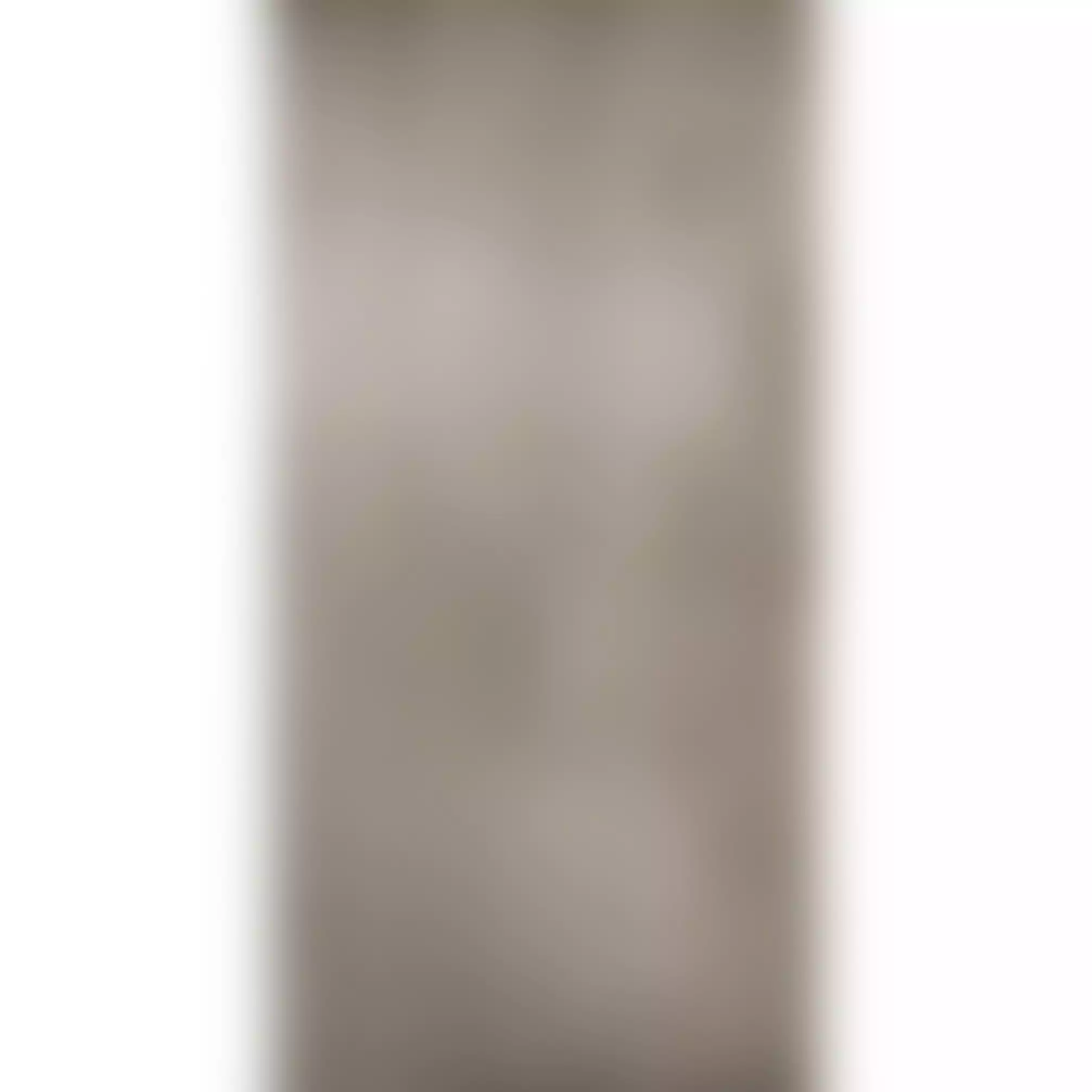 Фото плитки CERDISA FORMWORK ASH LAPP RETT 40x80 из коллекции CERDISA FORMWORK 