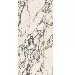 Фото плитки FLAVIKER SUPREME TREASURE 8998 SPR.TREAS.CORCHIA GOLD SOFT R 120X280 из коллекции FLAVIKER SUPREME TREASURE 