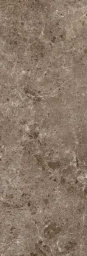 Фото плитки COVERLAM ARTIC MOKA PULIDO 5,6 ММ 120X360 из коллекции COVERLAM ARTIC 