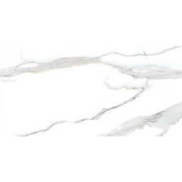 Фото плитки RAVIRAJ EMPRESS GREY MATT 60x120x1 из коллекции RAVIRAJ SERIES 60x120 