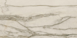 Фото плитки AZTECA CERAMICA AMAZONAS FOREST LUX 60X120 из коллекции AZTECA AMAZONAS 