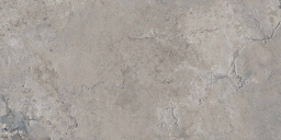 Фото плитки GARDENIA ORCHIDEA PIETRA VIVA GREY NAT RET 60X120 из коллекции GARDENIA ORCHIDEA PIETRA VIVA 