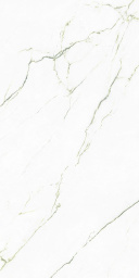 Фото плитки TAGINA SEGESTA VERDE LUCIDATO RET 127063 30x60 из коллекции TAGINA SEGESTA 