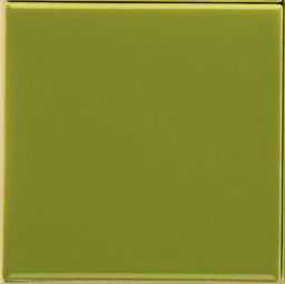 Фото плитки SENIO I LACCATI VERDE MUSCHIO 9,85Х9,85 из коллекции SENIO I LACCATI 