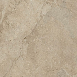 Фото плитки FANAL ELEGANCE NATURAL REC. NPLUS 75Х75 из коллекции FANAL ELEGANCE 