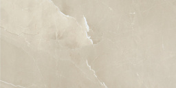 Фото плитки AZTECA CERAMICA PASSION LUX CHAMPANGE 60X120 из коллекции AZTECA PASSION 