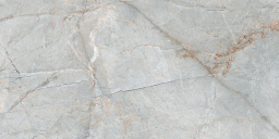 Фото плитки RICCHETTI CERAMICHE GOLDEN PURE OXFORD GREY LUX RETT 59,6X119,2 из коллекции RICCHETTI CERAMICHE GOLDEN PURE 