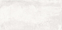 Фото плитки APARICI METALLIC WHITE NATURAL 49,7X99,5X1 из коллекции APARICI METALLIC 