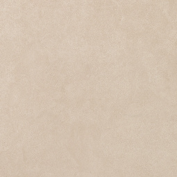 Фото плитки ATLAS CONCORDE KONE BEIGE RT 60X60 из коллекции ATLAS CONCORDE KONE 