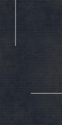 Фото плитки BARDELLI LINES 3D 60X120 из коллекции BARDELLI LINES 