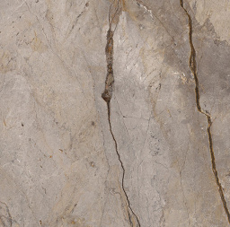 Фото плитки APAVISA WILD FOREST GREY NATURAL MIX 119,3x119,3 из коллекции APAVISA WILD FOREST 