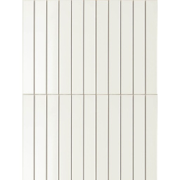 Фото плитки TERRATINTA SARTORIA PULSE FLAT FROST SAPUF0131G 4Х31,5 из коллекции TERRATINTA SARTORIA 