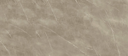 Фото плитки ENERGIEKER PIETRAGREY TAUPE POLISHED 60X120X9 из коллекции ENERGIEKER PIETRAGREY 