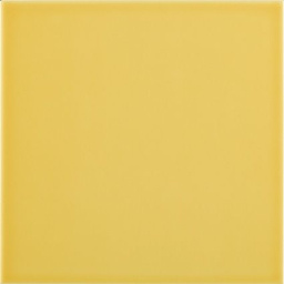 Фото плитки PAMESA AGATHA AMARILLO 25X25 из коллекции PAMESA AGATHA 25X25СМ 