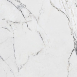 Фото плитки RONDINE CANOVA STATUARIO RET 120X120 из коллекции RONDINE CANOVA 