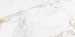 Фото плитки ECOCERAMIC MARSHALL GOLD POLISH 004 60X120 из коллекции ECOCERAMIC MARSHALL 