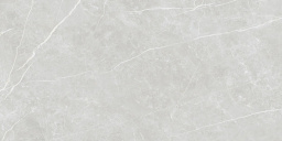 Фото плитки TAU CERAMICA ELITE SILVER MATT REC 60x120 из коллекции TAU CERAMICA ELITE 