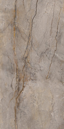 Фото плитки APAVISA WILD FOREST GREY POLISHED MIX 119,3x280 из коллекции APAVISA WILD FOREST 