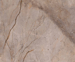 Фото плитки APAVISA WILD FOREST GREY POLISHED MIX 119,3x119,3 из коллекции APAVISA WILD FOREST 