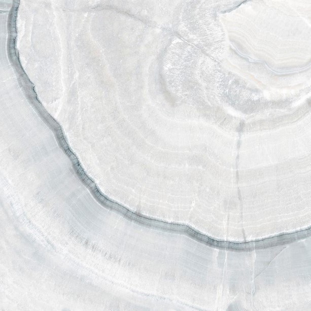 Фото плитки COLORKER INVICTUS WHITE PUL. 58.5x58.5 из коллекции COLORKER INVICTUS 