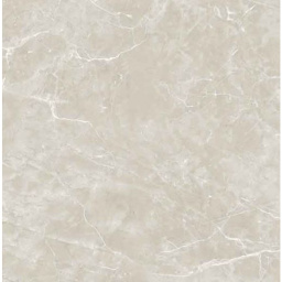 Фото плитки ECOCERAMIC PUCCINI PERLA 017 60Х60 из коллекции ECOCERAMIC PUCCINI 